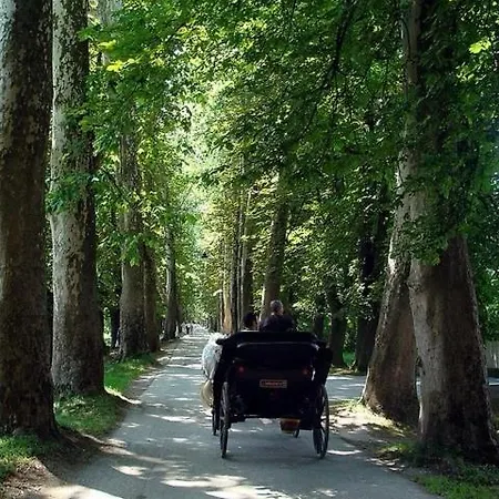 Sumeya - Luxury In Nature * Saraievo