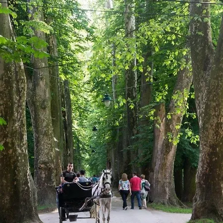 Sumeya - Luxury In Nature Saraievo